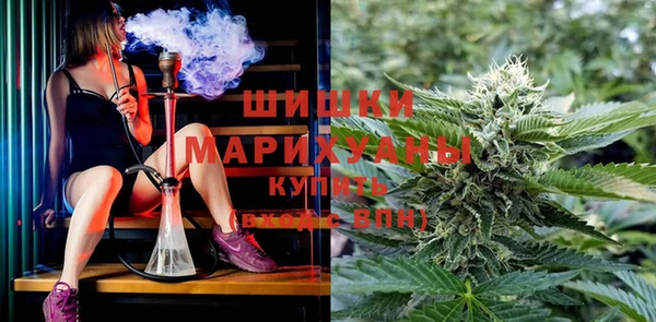 не бодяженный Горно-Алтайск