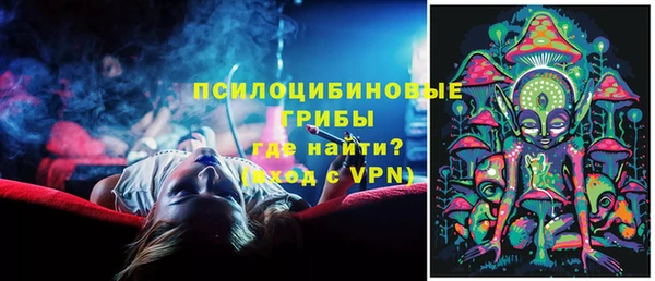 дживик Вязьма
